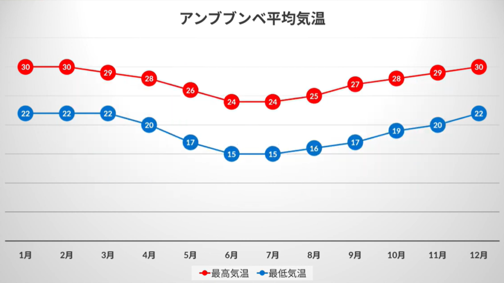 アンボボンベンシスの実生